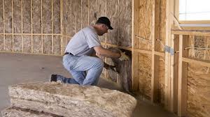 Best Insulation for New Construction  in Ovid, MI