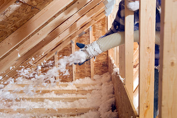 Best Wall Insulation Installation  in Ovid, MI